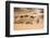 Morocco, Erg Chegaga Is a Saharan Sand Dune-Emily Wilson-Framed Photographic Print