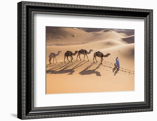 Morocco, Erg Chegaga Is a Saharan Sand Dune-Emily Wilson-Framed Photographic Print