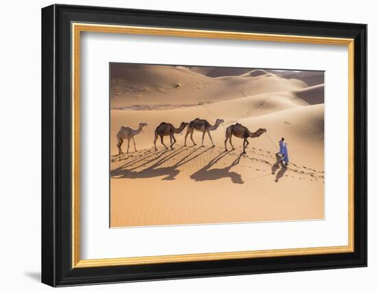 Morocco, Erg Chegaga Is a Saharan Sand Dune-Emily Wilson-Framed Photographic Print