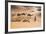 Morocco, Erg Chegaga Is a Saharan Sand Dune-Emily Wilson-Framed Photographic Print