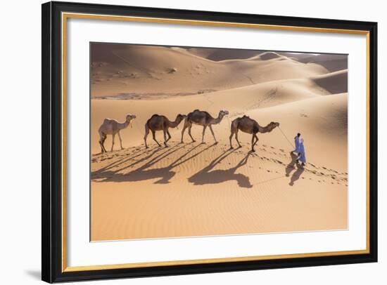 Morocco, Erg Chegaga Is a Saharan Sand Dune-Emily Wilson-Framed Photographic Print