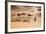 Morocco, Erg Chegaga Is a Saharan Sand Dune-Emily Wilson-Framed Photographic Print