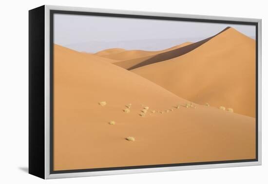 Morocco, Erg Chegaga, Souss-Massa-Draa Area, Saharan Sand Dunes-Emily Wilson-Framed Premier Image Canvas