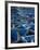 Morocco, Essaouira; the Traditional Fishing Port-Mark Hannaford-Framed Photographic Print