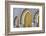 Morocco, Fes. a Detail of the King's Palace Doors-Brenda Tharp-Framed Photographic Print