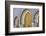 Morocco, Fes. a Detail of the King's Palace Doors-Brenda Tharp-Framed Photographic Print