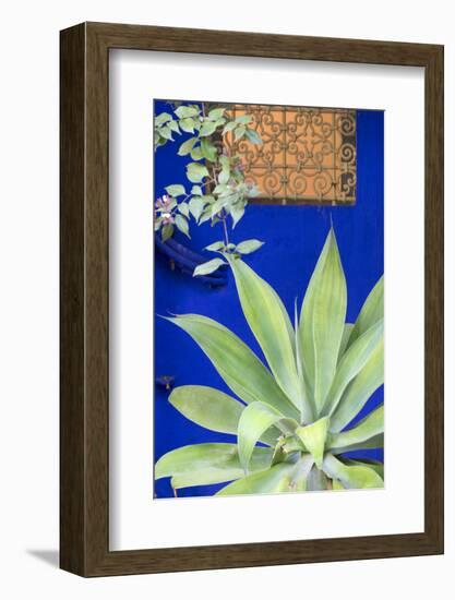 Morocco, Marrakech, Close Up of a Succulent Plant Outside a Building-Emily Wilson-Framed Photographic Print