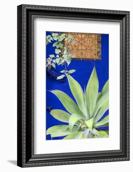 Morocco, Marrakech, Close Up of a Succulent Plant Outside a Building-Emily Wilson-Framed Photographic Print