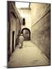 Morocco, Marrakech, Medina (Old Town)-Michele Falzone-Mounted Photographic Print