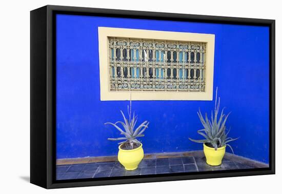 Morocco, Marrakech, Potted Succulent Plants Outside a Blue Building-Emily Wilson-Framed Premier Image Canvas