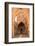 Morocco, Marrakech, Tinmal. the Great Mosque of Tinmal-Emily Wilson-Framed Photographic Print