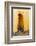 Morocco, Meknes. Mausoleum of Moulay Ismail Stairs-Kymri Wilt-Framed Photographic Print