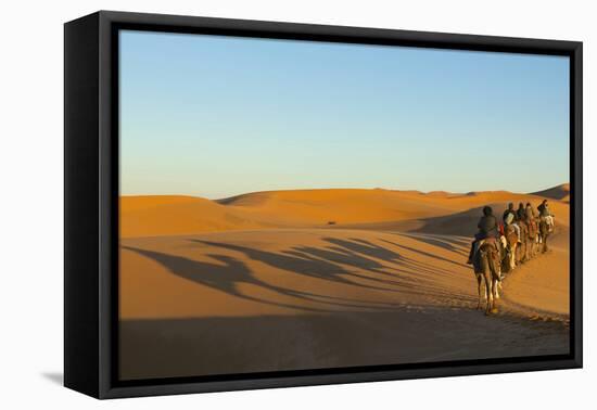 Morocco, Merzouga. Desert Caravan and Dromedaries-Michele Molinari-Framed Premier Image Canvas