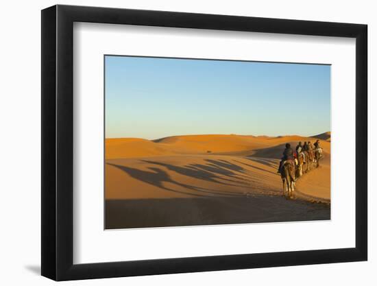 Morocco, Merzouga. Desert Caravan and Dromedaries-Michele Molinari-Framed Photographic Print