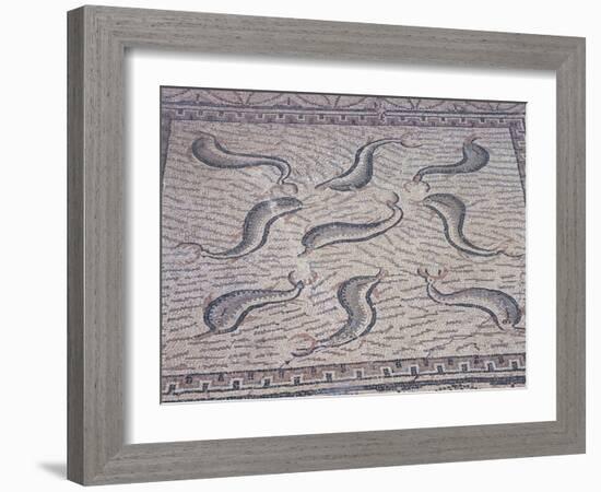 Morocco, North of Meknes, Volubilis, House of Orpheus, Mosaic with Nine Dolphins-null-Framed Giclee Print