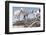 Morocco, Road to Essaouira, Goats Climbing in Argan Trees-Emily Wilson-Framed Photographic Print
