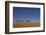 Morocco, Sahara. a Row of Camels Travels the Ridge of a Sand Dune-Brenda Tharp-Framed Photographic Print