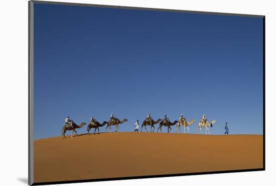 Morocco, Sahara. a Row of Camels Travels the Ridge of a Sand Dune-Brenda Tharp-Mounted Photographic Print