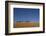 Morocco, Sahara. a Row of Camels Travels the Ridge of a Sand Dune-Brenda Tharp-Framed Photographic Print