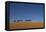 Morocco, Sahara. a Row of Camels Travels the Ridge of a Sand Dune-Brenda Tharp-Framed Premier Image Canvas