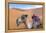 Morocco, Sahara Desert Sand Dunes Close Up of Camel for Rides-Bill Bachmann-Framed Premier Image Canvas