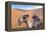 Morocco, Sahara Desert Sand Dunes Close Up of Camel for Rides-Bill Bachmann-Framed Premier Image Canvas