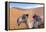 Morocco, Sahara Desert Sand Dunes Close Up of Camel for Rides-Bill Bachmann-Framed Premier Image Canvas