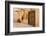 Morocco, South of Morocco, Traditionally Carved Wood Door at Tamnougalt Kasbah in the Draa Valley-Emily Wilson-Framed Photographic Print