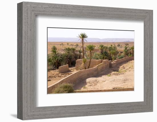 Morocco, Southern Morocco, Typical Palm Tree Grove-Emily Wilson-Framed Photographic Print