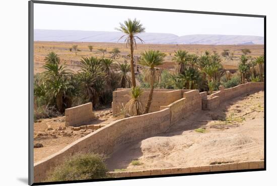 Morocco, Southern Morocco, Typical Palm Tree Grove-Emily Wilson-Mounted Photographic Print