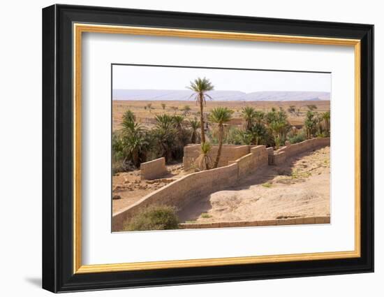 Morocco, Southern Morocco, Typical Palm Tree Grove-Emily Wilson-Framed Photographic Print