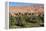 Morocco, Tinghir Oasis and Village with Beautiful Mountains with Trees-Bill Bachmann-Framed Premier Image Canvas