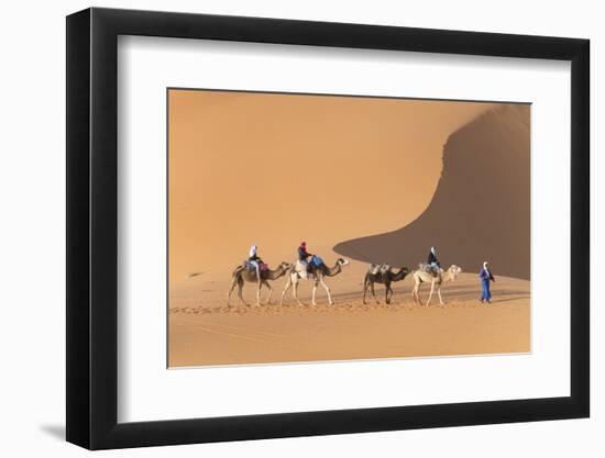 Morocco. Tourists ride camels in Erg Chebbi in the Sahara desert.-Brenda Tharp-Framed Photographic Print