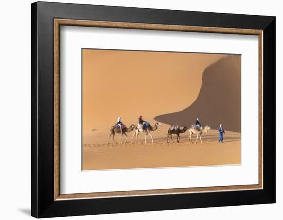 Morocco. Tourists ride camels in Erg Chebbi in the Sahara desert.-Brenda Tharp-Framed Photographic Print