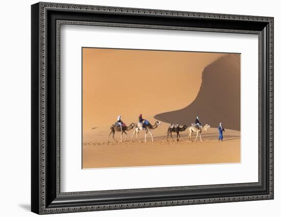 Morocco. Tourists ride camels in Erg Chebbi in the Sahara desert.-Brenda Tharp-Framed Photographic Print