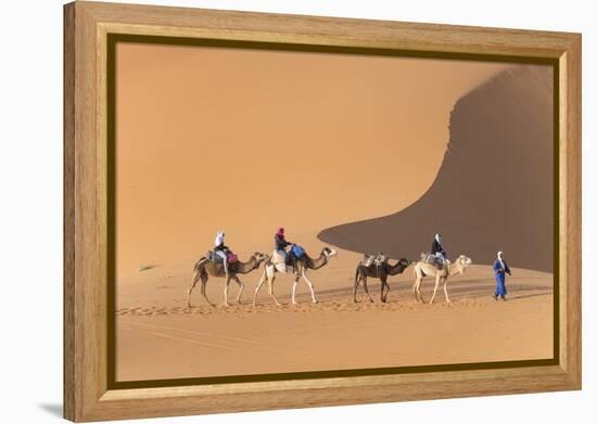 Morocco. Tourists ride camels in Erg Chebbi in the Sahara desert.-Brenda Tharp-Framed Premier Image Canvas