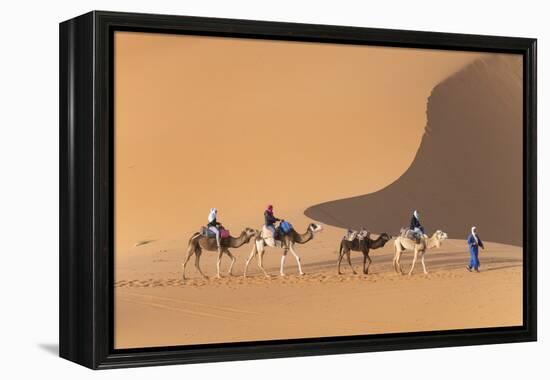 Morocco. Tourists ride camels in Erg Chebbi in the Sahara desert.-Brenda Tharp-Framed Premier Image Canvas