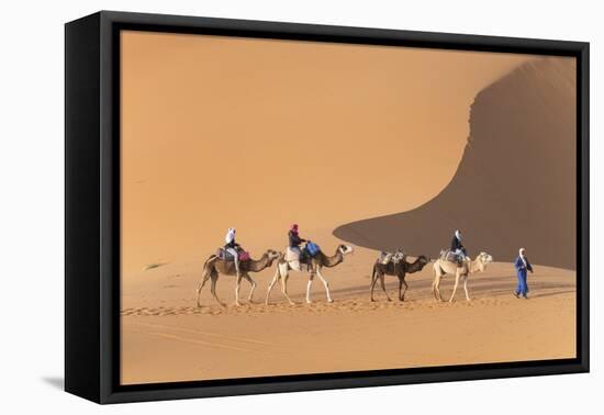 Morocco. Tourists ride camels in Erg Chebbi in the Sahara desert.-Brenda Tharp-Framed Premier Image Canvas