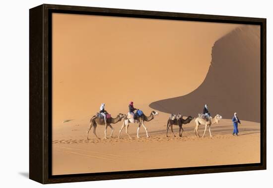 Morocco. Tourists ride camels in Erg Chebbi in the Sahara desert.-Brenda Tharp-Framed Premier Image Canvas