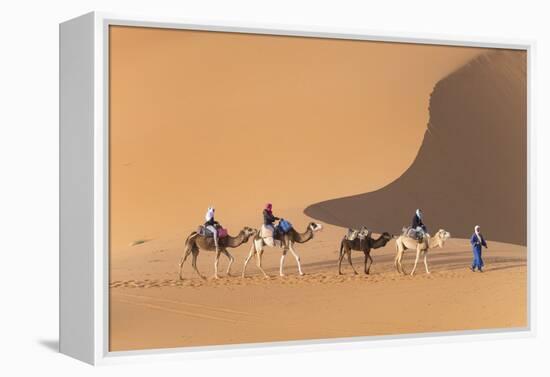 Morocco. Tourists ride camels in Erg Chebbi in the Sahara desert.-Brenda Tharp-Framed Premier Image Canvas