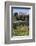 Morocco, Volubilis. Ancient Roman Ruins at Volubilis-Kymri Wilt-Framed Photographic Print