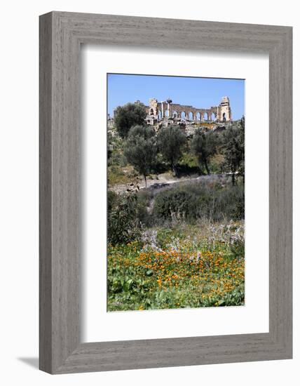 Morocco, Volubilis. Ancient Roman Ruins at Volubilis-Kymri Wilt-Framed Photographic Print