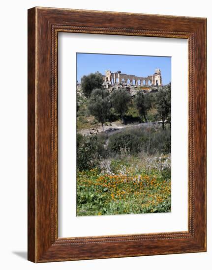 Morocco, Volubilis. Ancient Roman Ruins at Volubilis-Kymri Wilt-Framed Photographic Print