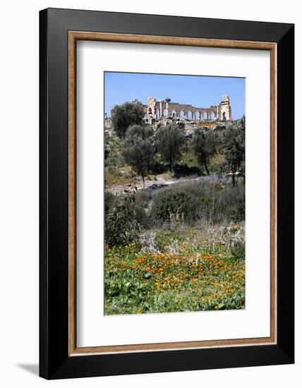 Morocco, Volubilis. Ancient Roman Ruins at Volubilis-Kymri Wilt-Framed Photographic Print