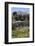 Morocco, Volubilis. Ancient Roman Ruins at Volubilis-Kymri Wilt-Framed Photographic Print