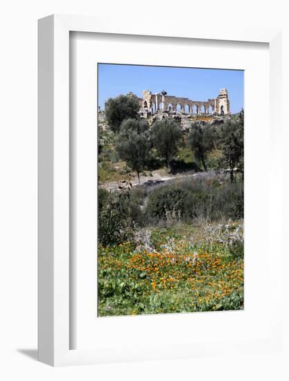 Morocco, Volubilis. Ancient Roman Ruins at Volubilis-Kymri Wilt-Framed Photographic Print