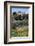 Morocco, Volubilis. Ancient Roman Ruins at Volubilis-Kymri Wilt-Framed Photographic Print