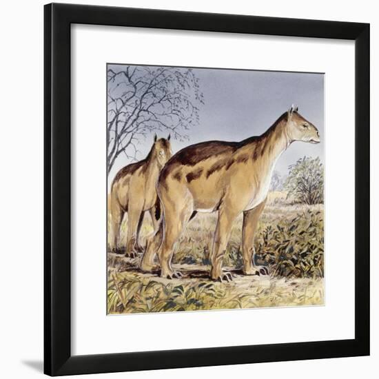 Moropus-null-Framed Photographic Print