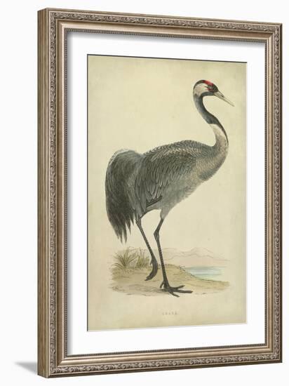 Morris Crane I-null-Framed Art Print