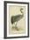 Morris Crane I-null-Framed Art Print